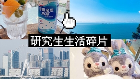 偶遇旋转猫演唱会，一场音乐的魔法盛宴