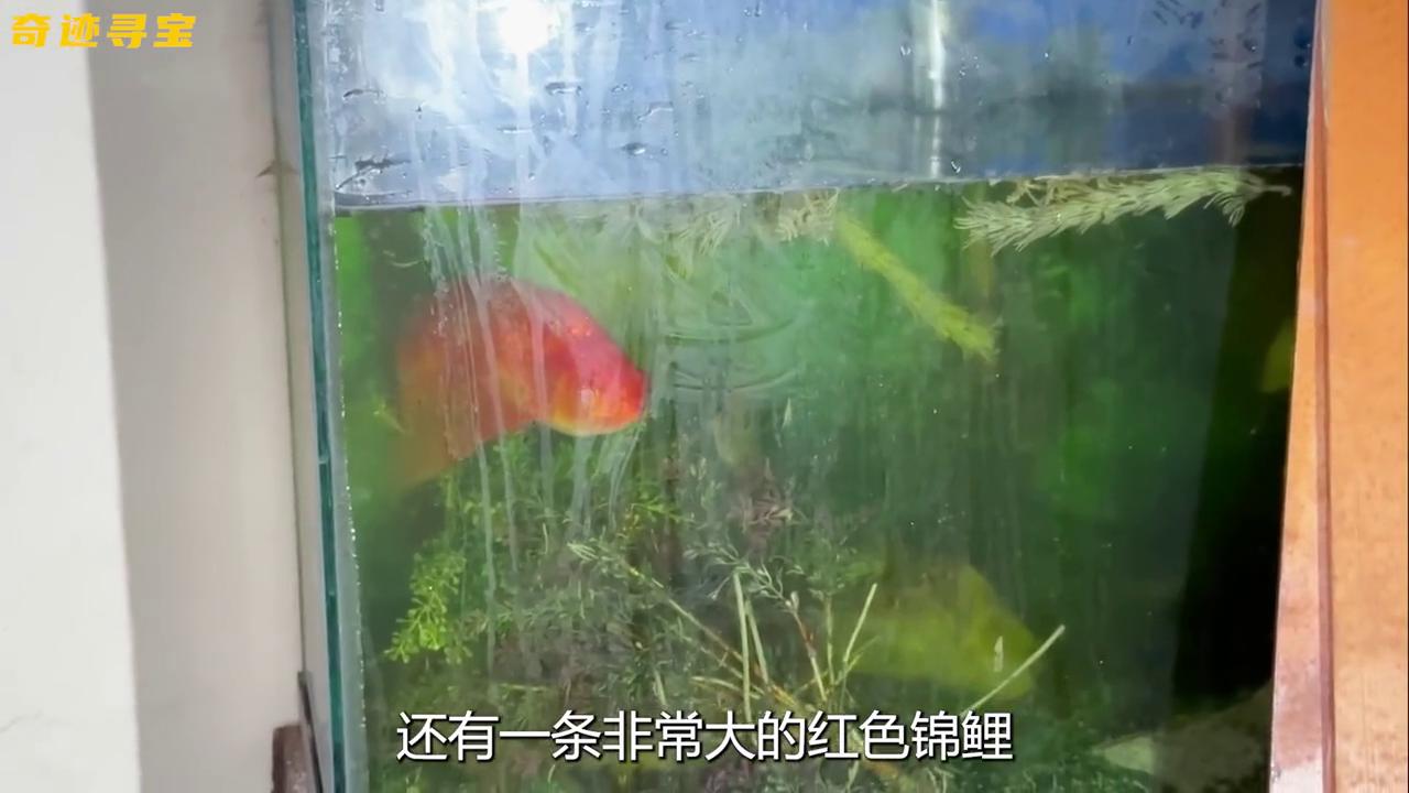 游戏专题 第230页