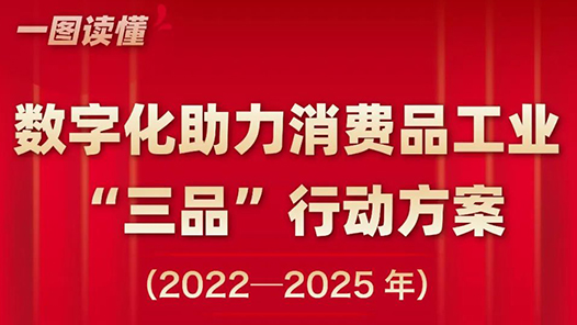 2025 年的春节有哪些好玩新颖的文化活动可以安排？