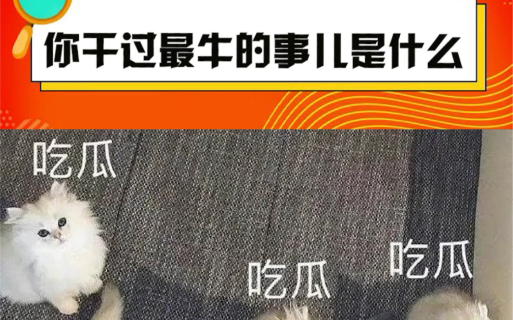 人生巅峰时刻，我做过最牛的事儿大盘点