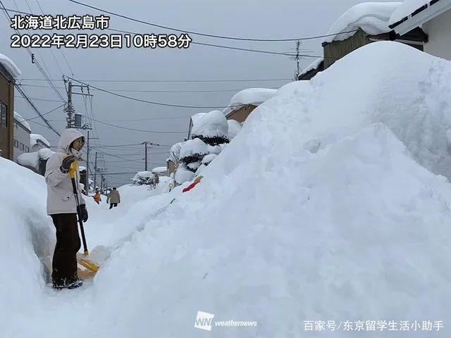 北海道雪量破纪录，漫天飞舞的雪花背后的故事