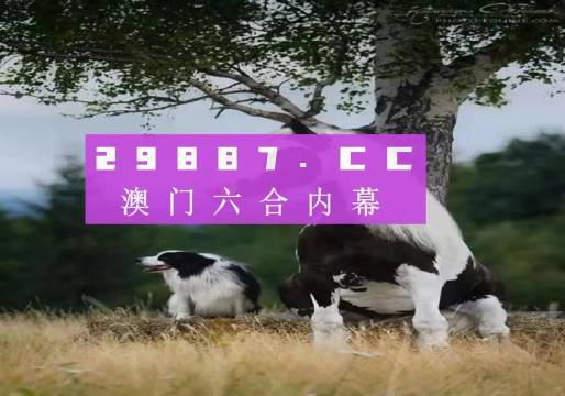 7777788888澳门开奖2023年一_10DM15.925——解锁成功之路