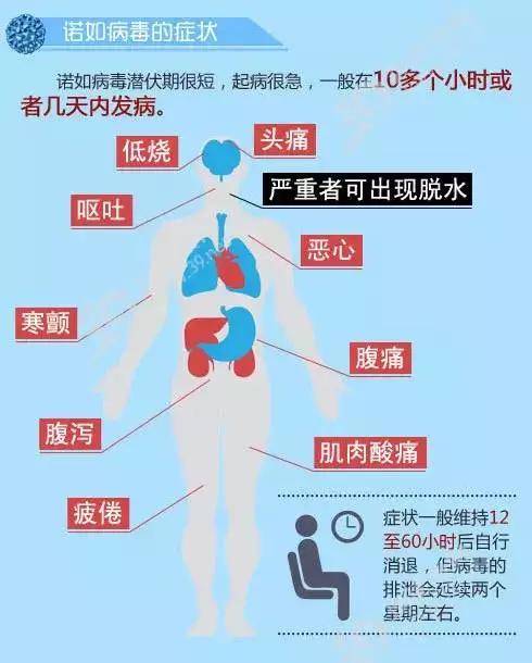 2025年2月9日 第52页