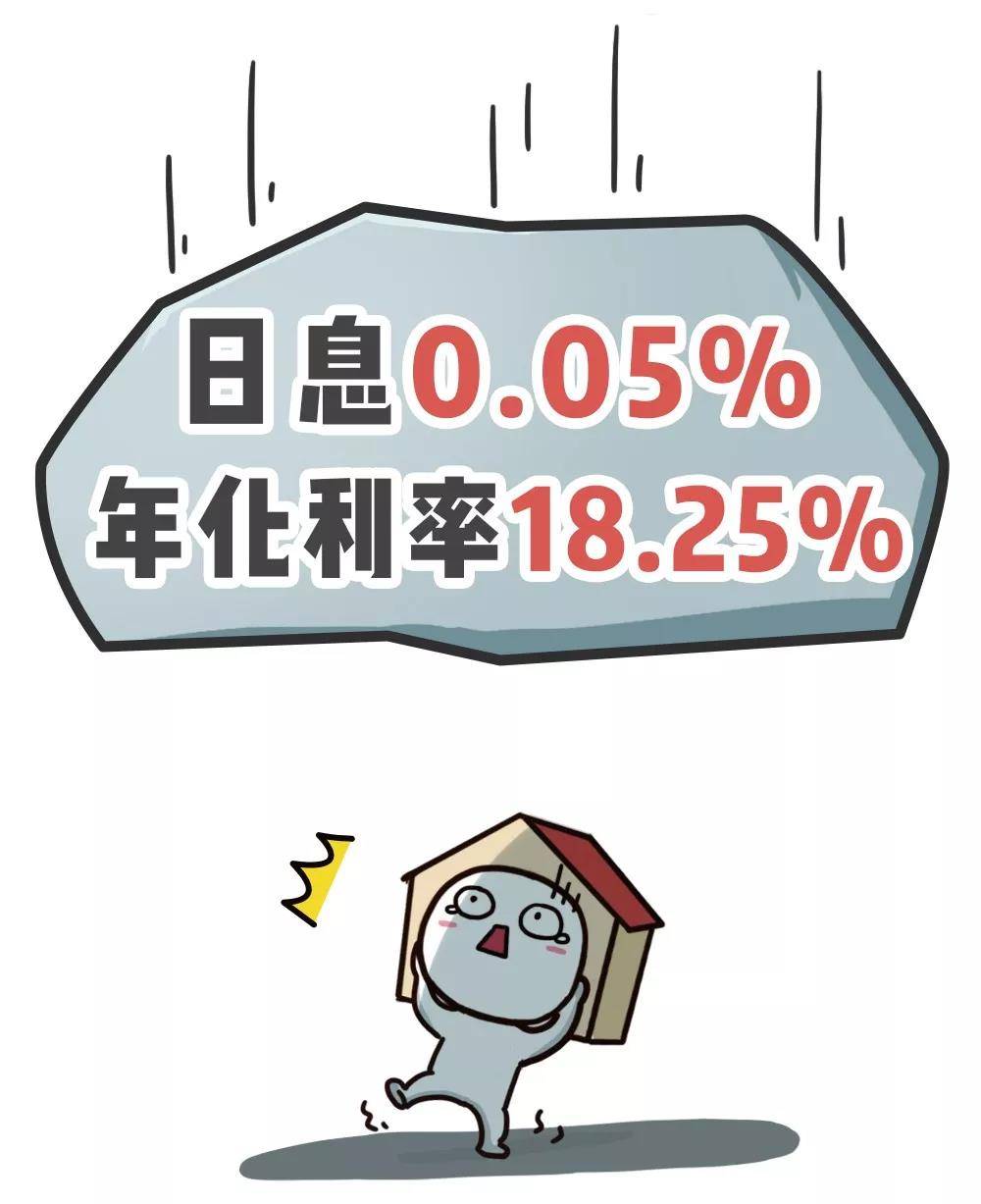 大学生春节上门喂猫:10天赚1万多