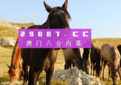 管家婆一肖一码澳门_特供款45.161——体验科技带来的便利与创新