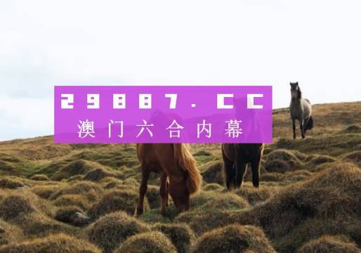 使用攻略 第98页