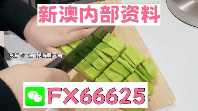 新澳精准资料免费提供