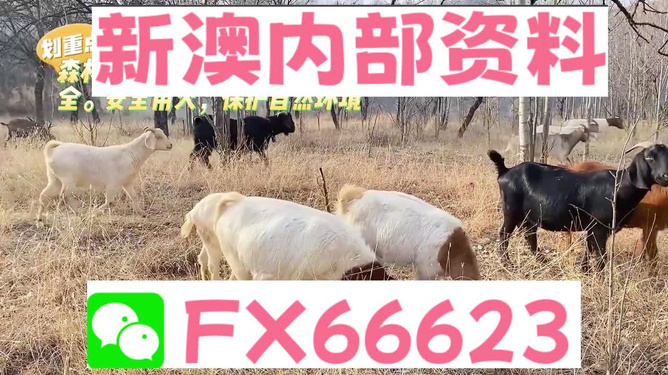 惊！新澳2025今晚开奖四不像暗藏玄机，70.93领航款背后的成功智慧引爆全网！