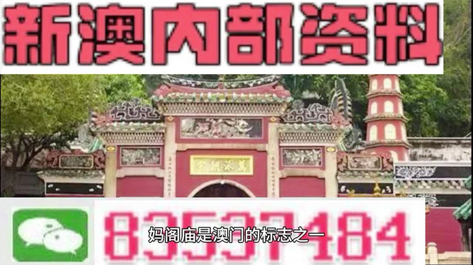 惊爆！澳门三肖三码精准100%黄大仙高级版25.794揭秘，权限解释落实背后竟藏惊天玄机！