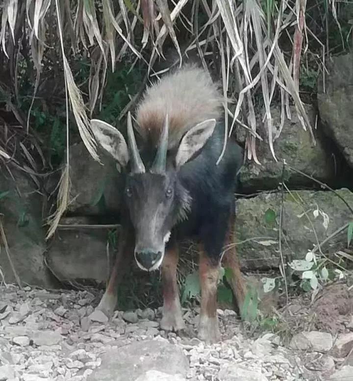 时光的旅者  _1