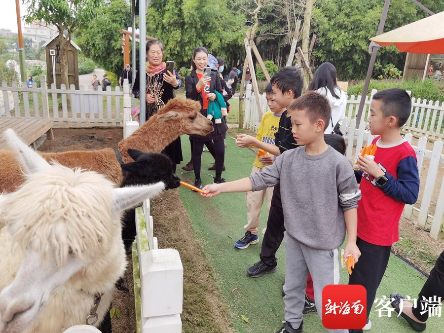 云南一文旅局长抹黑脸为五一揽客